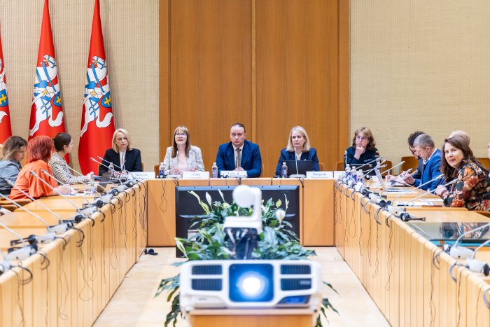LVAT pirmininkė Seime: teisė kreiptis į institucijas negali virsti priemone trikdyti jų darbą